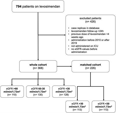 Levosimendan in acute heart failure with severely reduced kidney function, a propensity score matched registry study